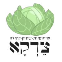 צדקא